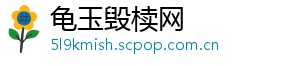龟玉毁椟网